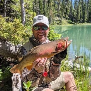 Meet your Posher, Stuart